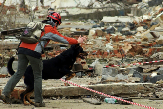 Mezinárodní zkoušky záchranných psů, Praha 2009